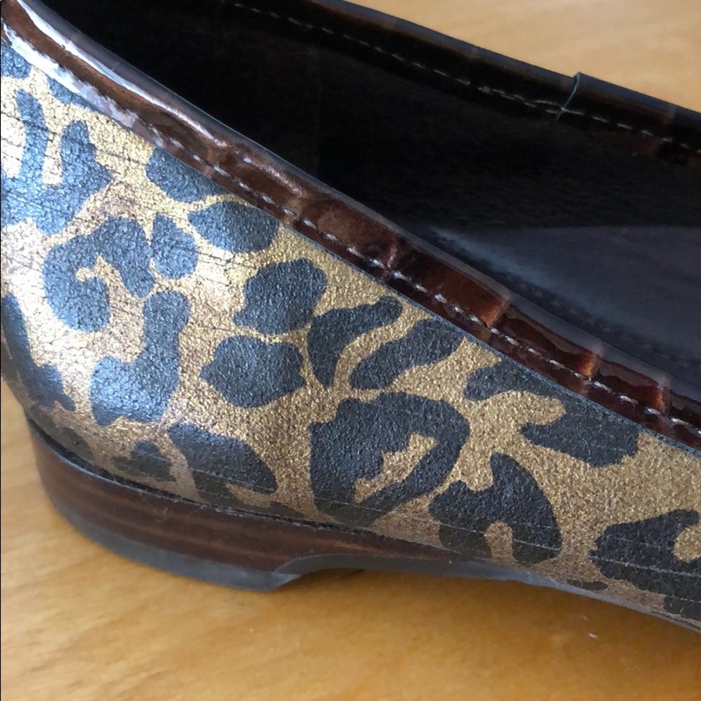 Cheetah Flats - Picture 2 of 7